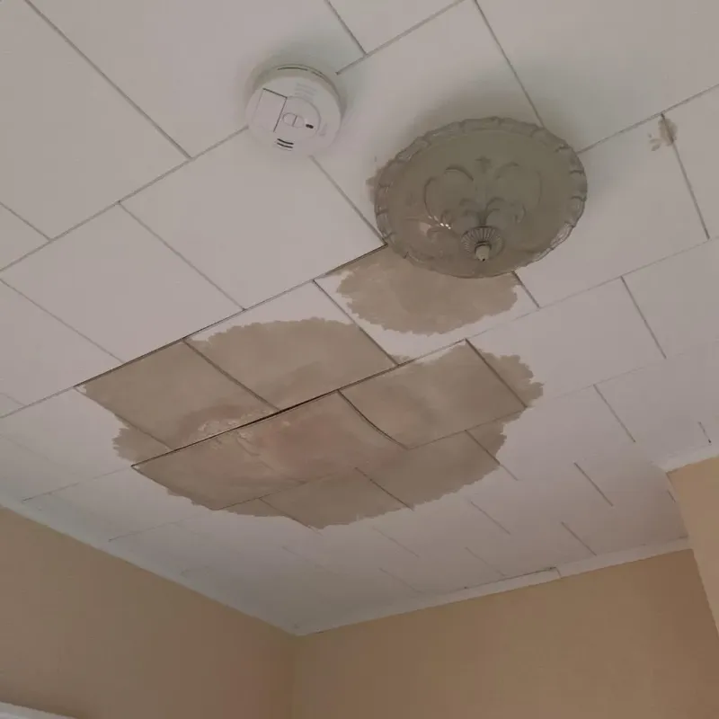 Ceiling Water Damage Repair in Redgranite, WI