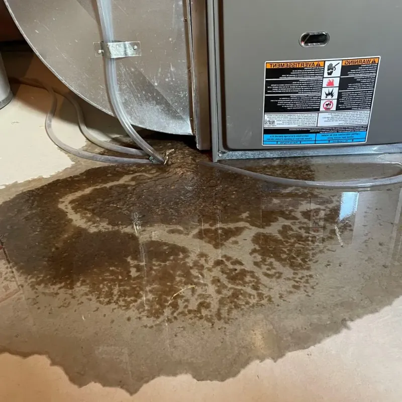 Pipe Burst and Leak Restoration in Redgranite, WI