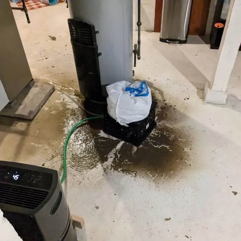 Sewage Backup Cleanup Service in Redgranite, WI